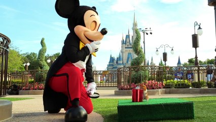 Tiny Hamster's Best Day Ever at Walt Disney World (Ep. 9)