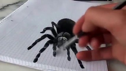 3-Dimensional Spider Drawing