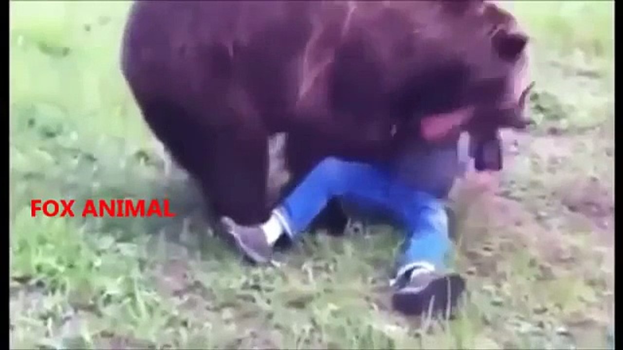 Animal Attacks Compilation 2015 HD    Part 5  ✔