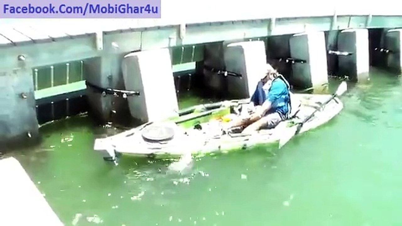 Big Fish Hunt