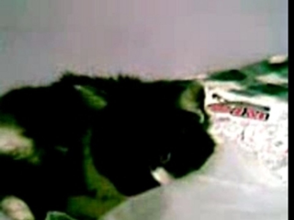 Selina