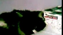 Selina