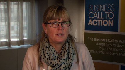 Lena Ingelstam, Swedish International Development Cooperation Agency, interview at BCtA Forum 2014