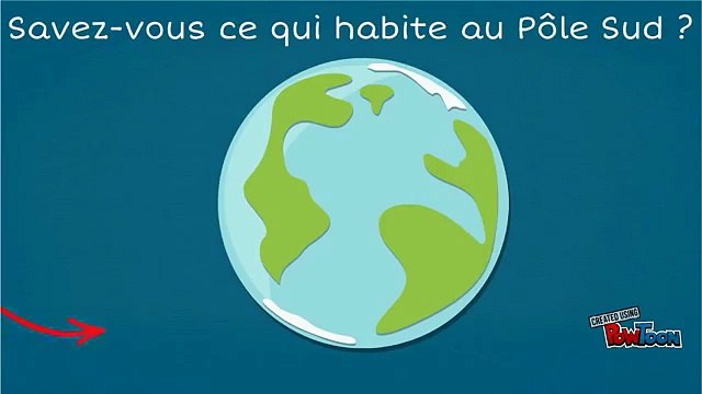 Les Sciences Naturelles de Tatsu Nagata Le Manchot