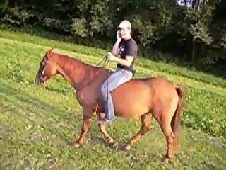 Oberappenberger Cowgirls
