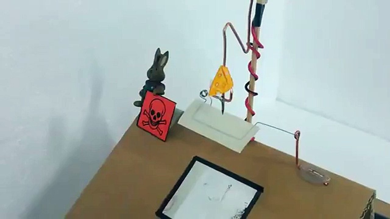 electric mouse trap