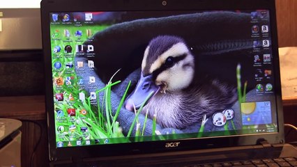 How to scan a picture/document into your computer (Windows 7)