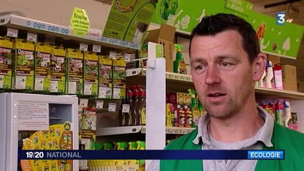 La pyrale du buis envahit les jardins de l'Hexagone