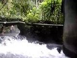 Aguas Termales in La Fortuna de San Carlos, Costa Rica
