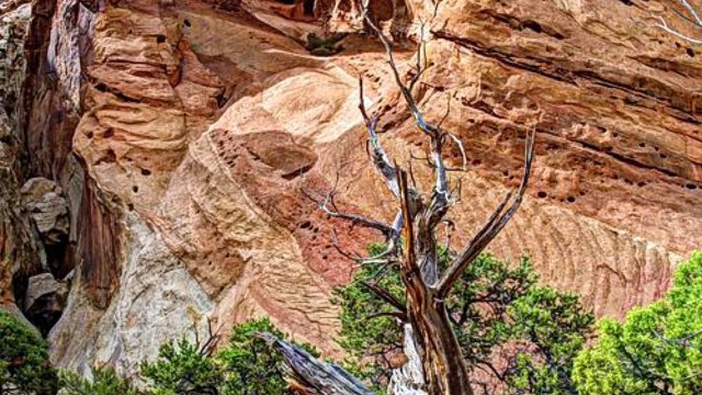 Private School in Salt Lake City | Reid School