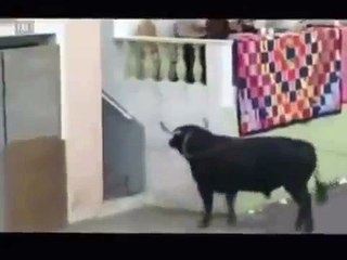 Compilation-Of-Bulls-attacking-"humans"-Caught-On-Tape