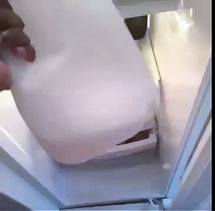 ✔ Funny Vines: Give Me My Milk Back! | 2015 ✔ Funny Chanel