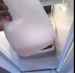 ✔ Funny Vines: Give Me My Milk Back! | 2015 ✔ Funny Chanel