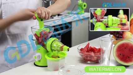 Hand Juicer & Multi Grinder
