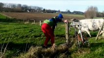 Cyclist drinking milk of a cow's udder