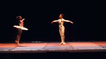 Studio de Danças Raquel Pinheiro-Harlequinade