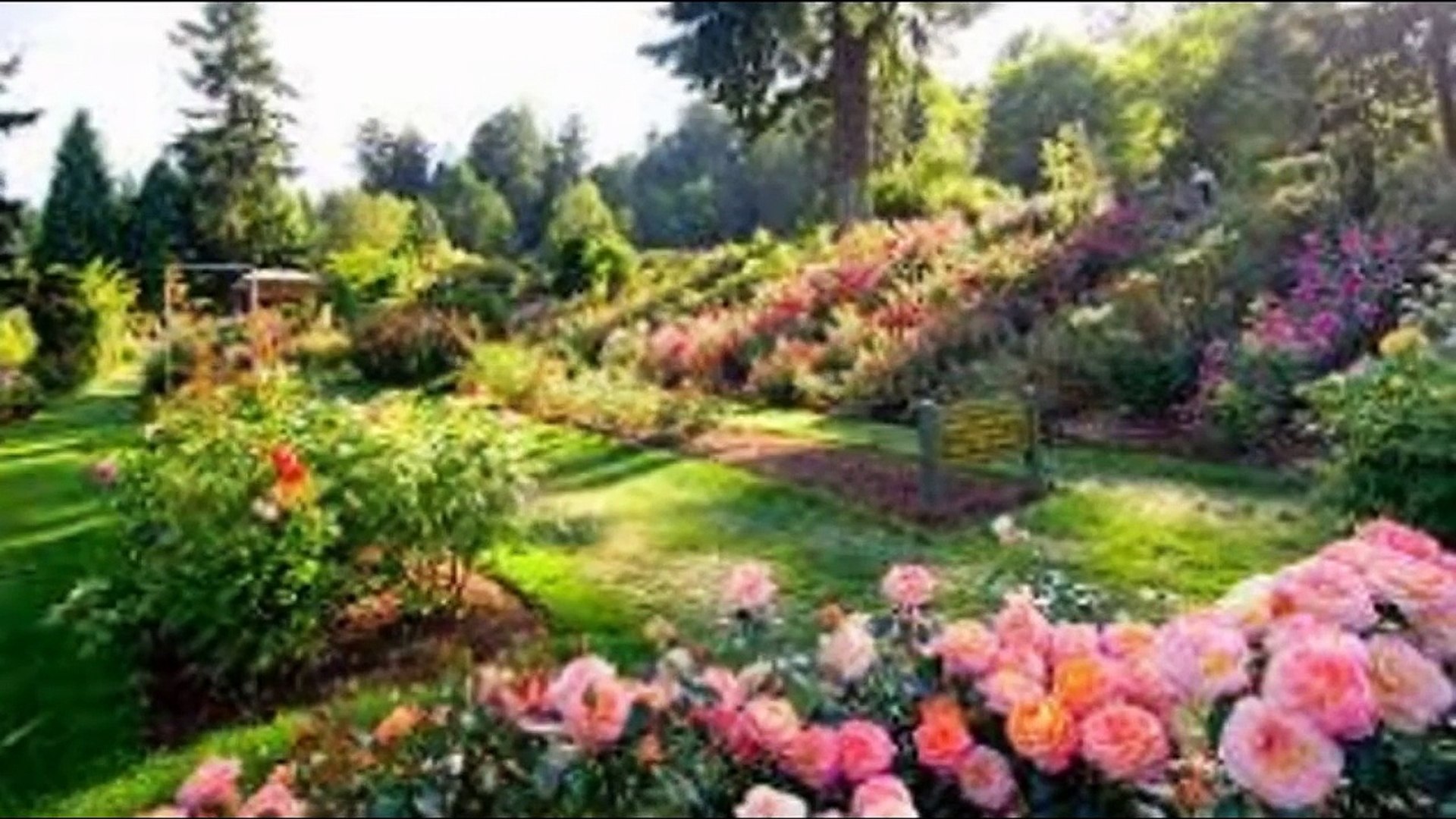 STUDY MUSIC - Studying Music and Concentration Music for Exam - Relaxing Music - Background Music