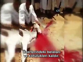 Recep Tayyip Erdoğan'a Afrika'dan Destek