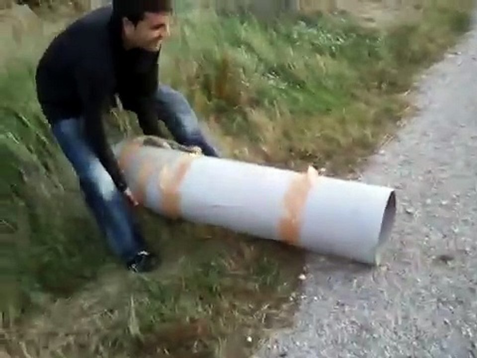 attaque de ragondin : big ratte attaque