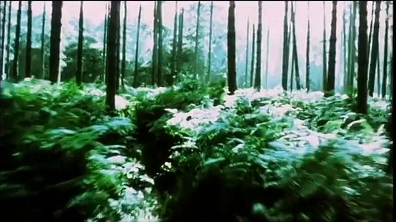 The Bunker Trailer