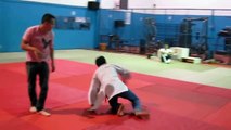 judo tecnicas basicas