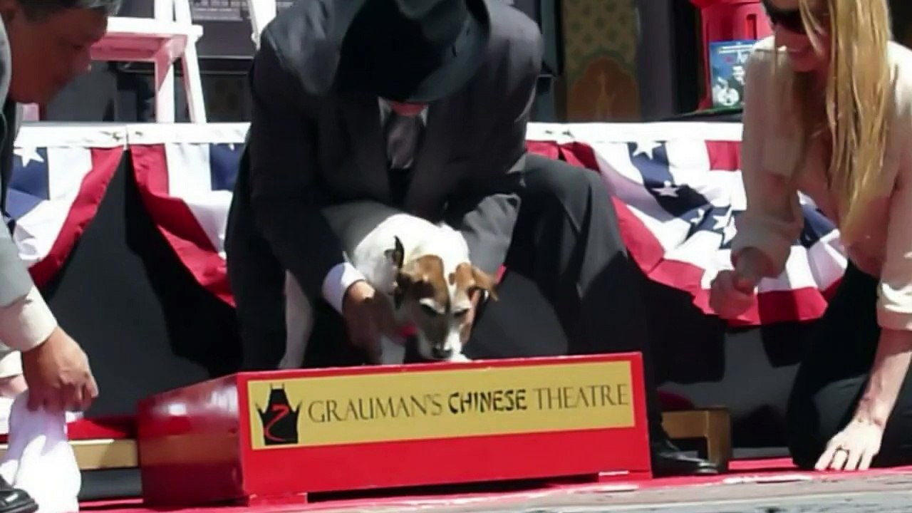 Berühmter filmhund "uggie" ist tot