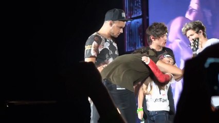 Just A Little Bit Of Your Heart - Harry Styles