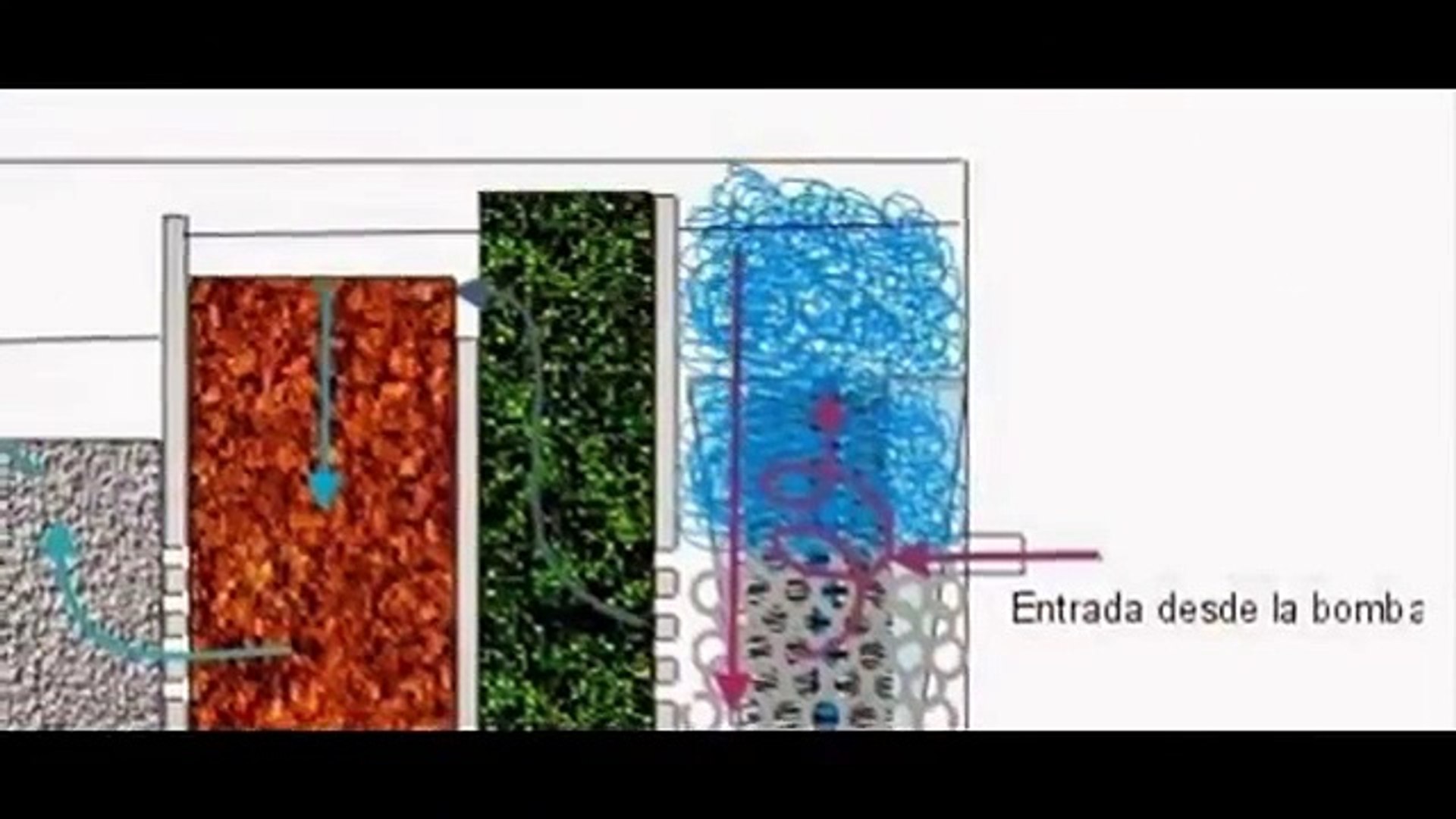 filtro casero para estanque (filtro biologico,filtro de pantano) - video  Dailymotion