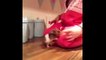 Funny Hamster Video Compilation 2015 Hamster Fails Funny Hamster Sleeping