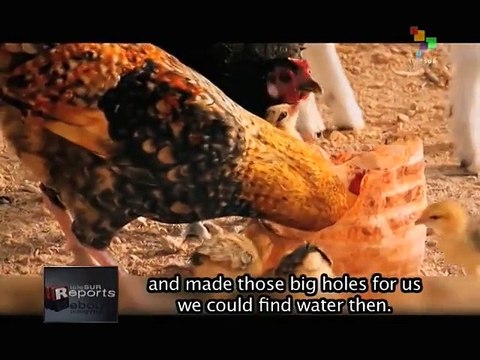 teleSUR Reports - No Water for the Himbas