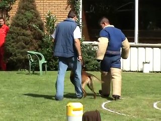 NVBK  Helzold Heusden  Belgie