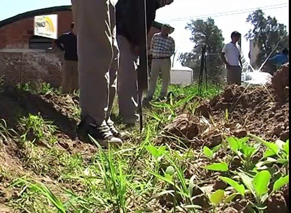 TIERRA CAMPO TV - ESC. AGROTECNICA CATAMARCA- CULTIVO DE TOMATE Y COMINO