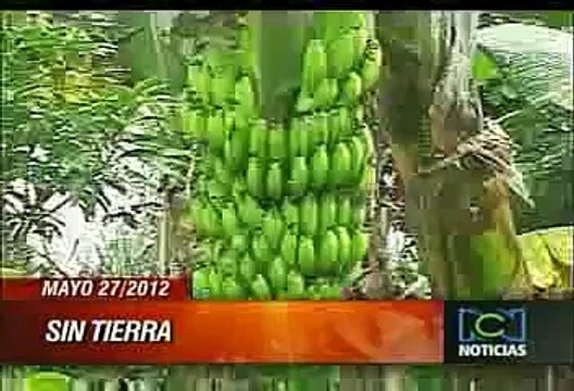 Titulares de noticias/Intro Noticias RCN (2008-presente)