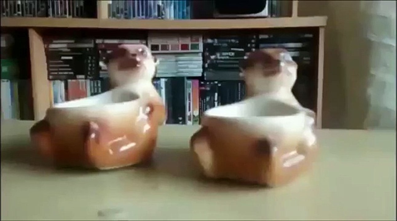 The Lion King - Real Life