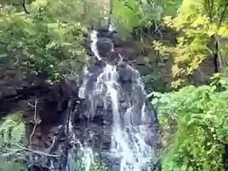 Whose Assessment Is It Anyway