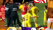 Fans on Pitch ✪ Football (Soccer) Funny & Crazy Moments