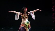 Turkish Gypsy Dance - Roman Havası - Turkiz ve Argaman 2011 - Sophie Armoza