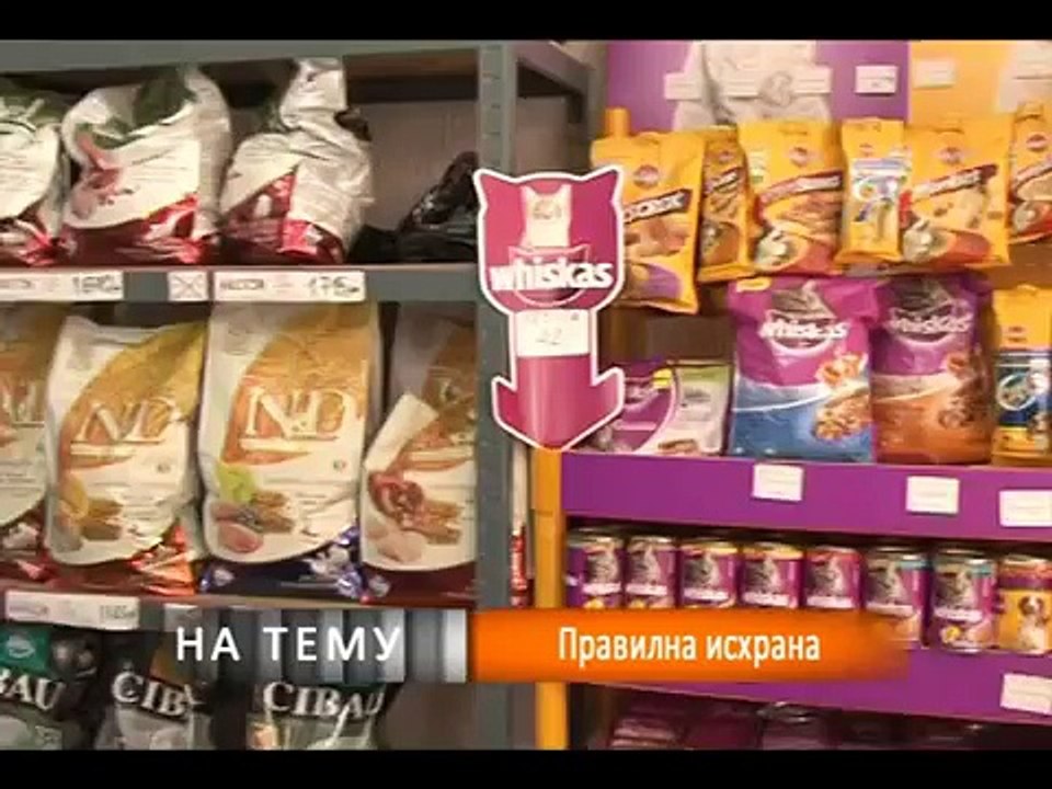 NA TEMU - Nega pasa
