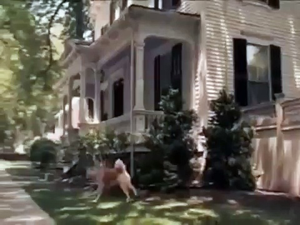 موسيقى حزينة جدا mp3 مع قصة وفاء Hatchi التي ابكت العالم