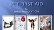 A FREE Pet First Aid Responder Video for Pet Owners & Pet Professionals