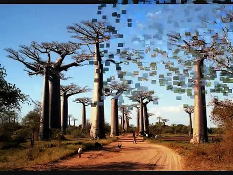 Madagascar Music and Images
