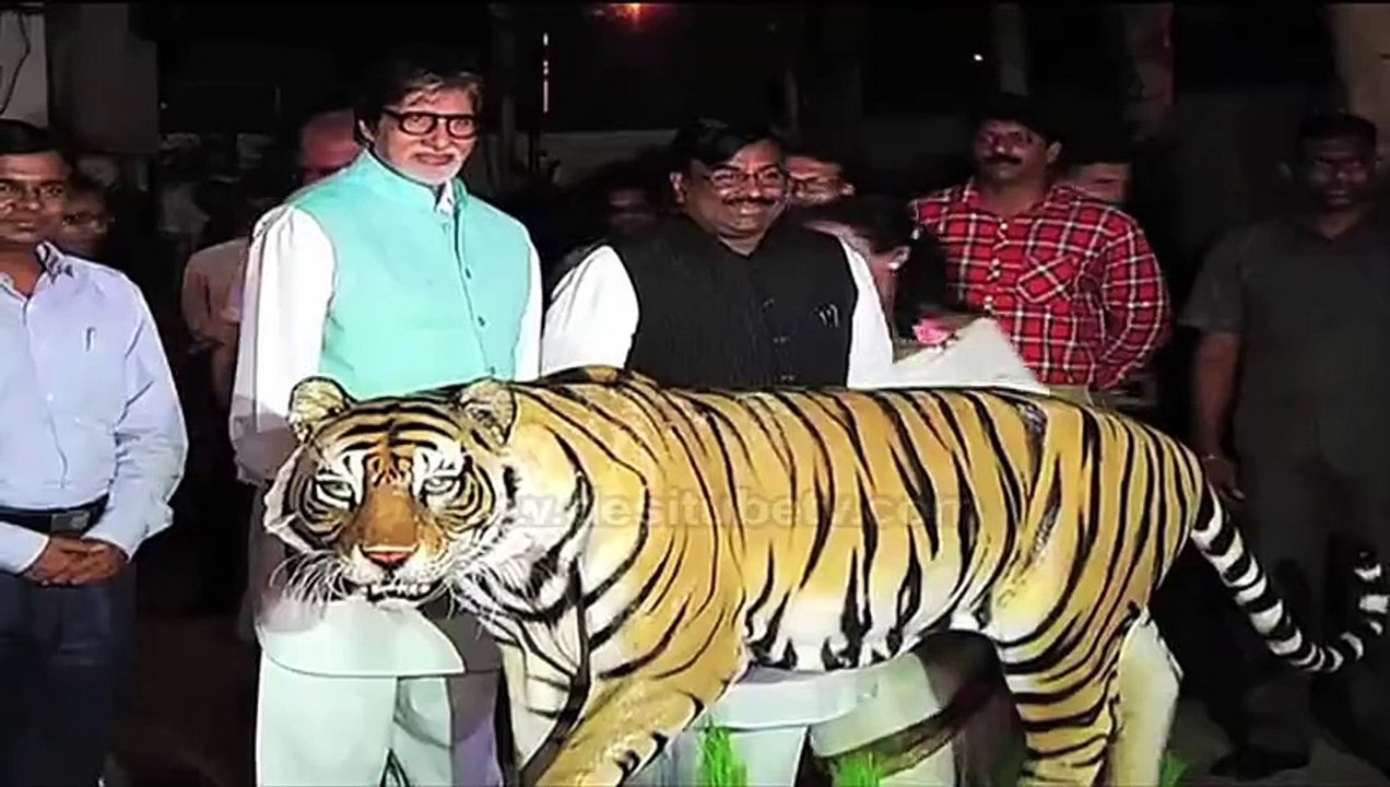 Save Our Tigers' campaign ambassador Amitabh Bachchan raises his voice in concern for the endangered tiger.