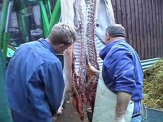 Schweineschlachten auf dem Bauernhof, pig slaughter, Teil 3