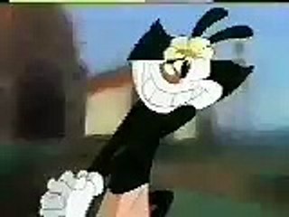 Animaniacs original promo (1993)