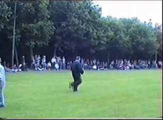 KNPV Exam PH1 Bite Work,  "Rico" 2002