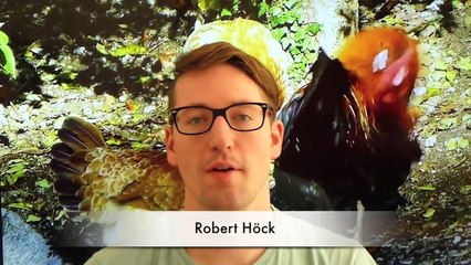 Alte Nutztierrassen Folge 19: Ungarische Lockengans, gefährdete Gänse Rasse Portrait, Dokumentation