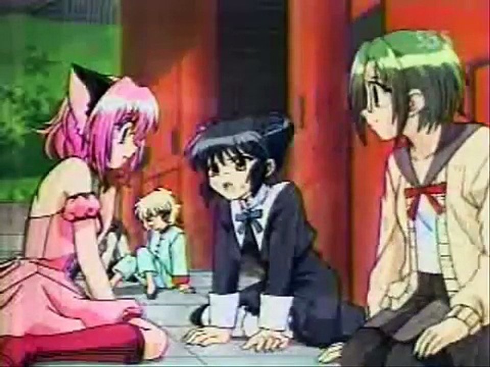 Tokyo Mew Mew VS. Berry Berry Mew Mew