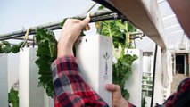 Your Ideas. ZipGrow Technology. Endless Possibilities.