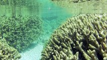 ERTH3212 - UQ Earth Sciences - Geology of Coral Reefs