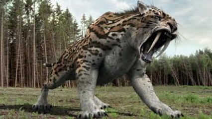 Top 10 Most Amazing Extinct Animals